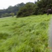 102 LOANGO Riviere Rembo Ngove Famille Elephants et Charge de la Mere 12E5K2IMG_78744wtmk.jpg